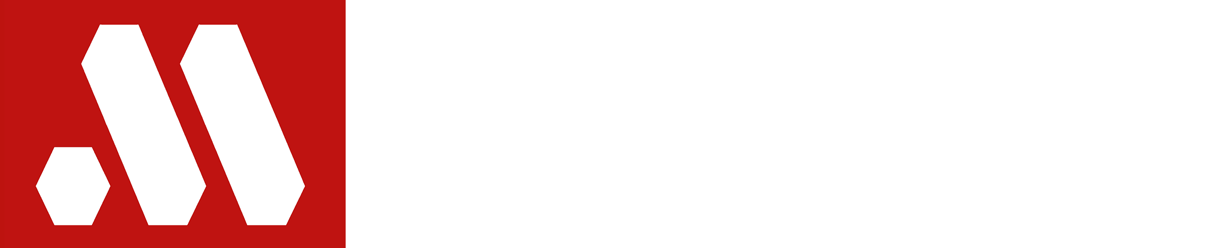 Micro Image